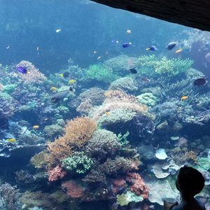 Meet your Posher, Rick